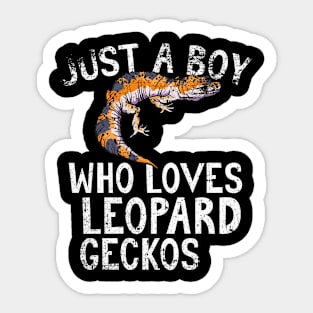 Just A Boy Who Loves Leopard Geckos Sticker